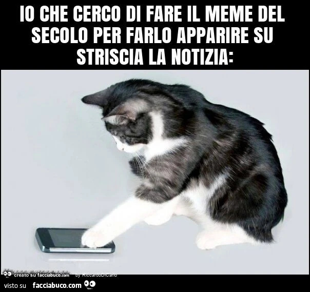 Io che cerco di fare il meme del secolo per farlo apparire su striscia la notizia