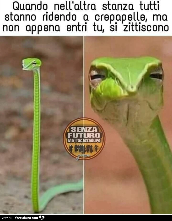 Quando nell'altra stanza tutti stanno ridendo a crepapelle
