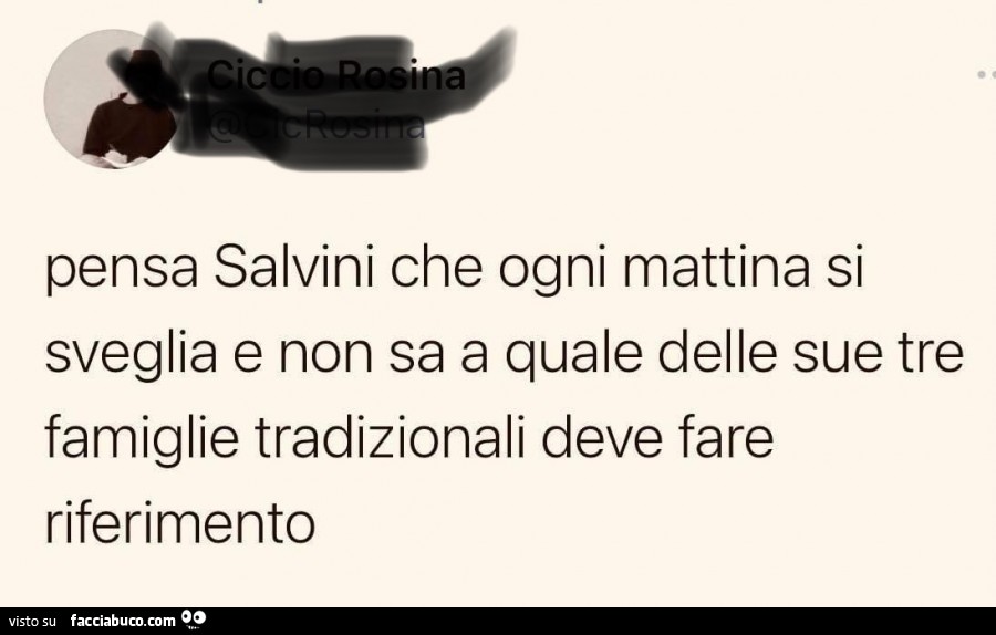 Pensa salvini che ogni mattina si sveglia e non sa a quale delle sue tre famiglie tradizionali deve fare riferimento