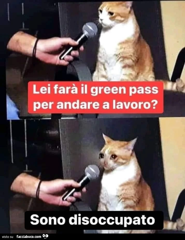 Vaccata