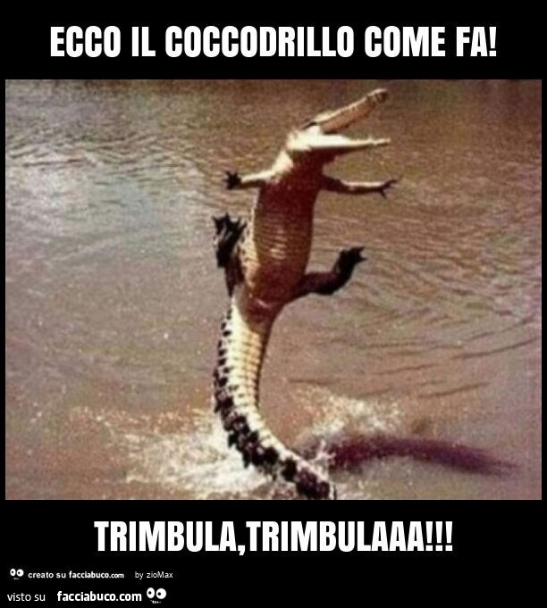 Ecco il coccodrillo come fa! Trimbula, trimbulaaa
