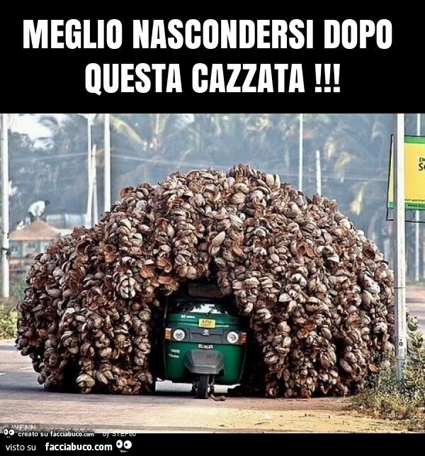 Vaccata