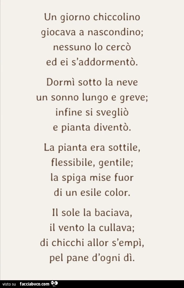 Un giorno chiccolino giocava a nascondino; nessuno lo cercò ed ei s'addormentò. Dormì sotto la neve un sonno lungo e greve; infine si svegliò e pianta diventò. La pianta era sottile, flessibile, gentile; la spiga mise fuor di un esile color