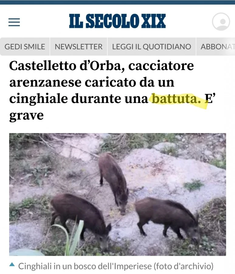 Vaccata