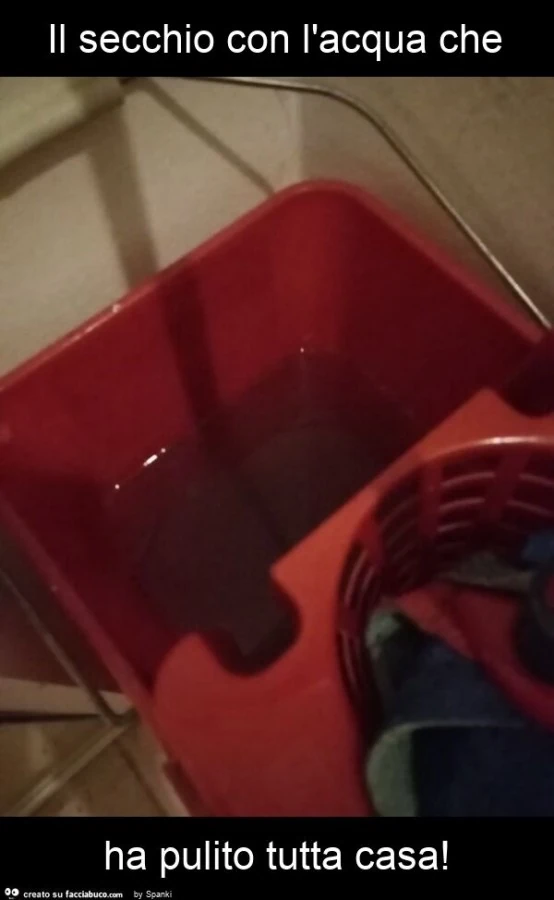 Il secchio con l'acqua che ha pulito tutta casa