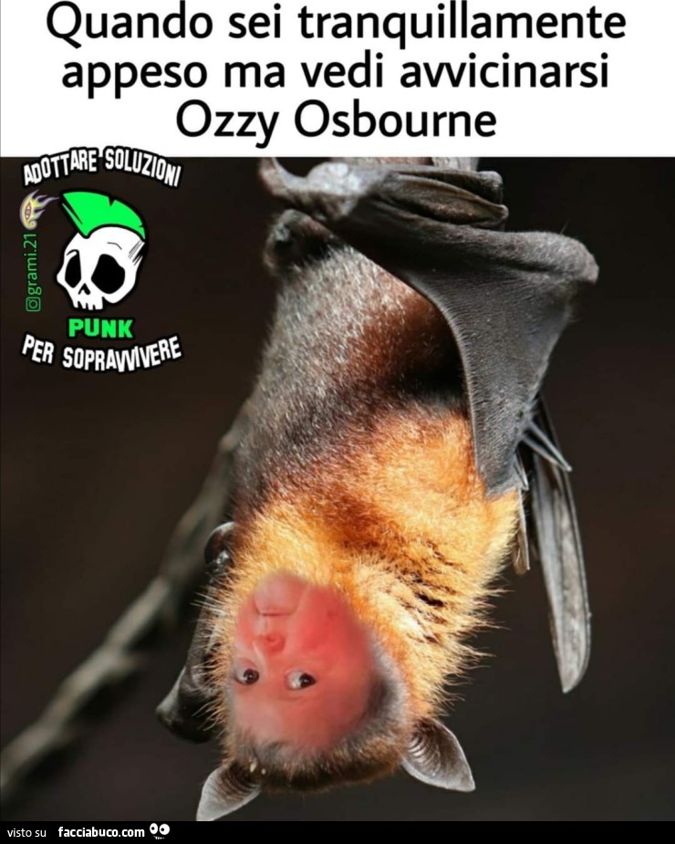 Quando pipistrello Ozzy Osbourne