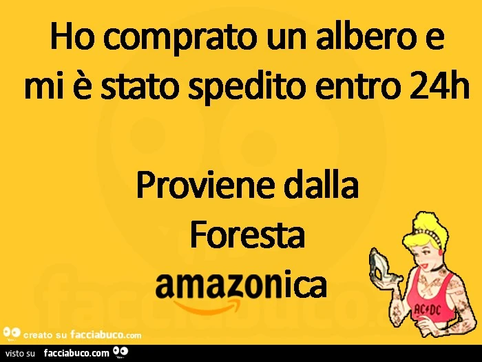 Ho comprato un albero e mi è sœto spedito entro 24h proviene dalla foresta amazonica