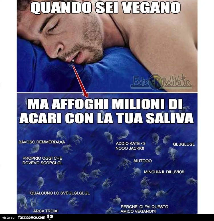 Vaccata