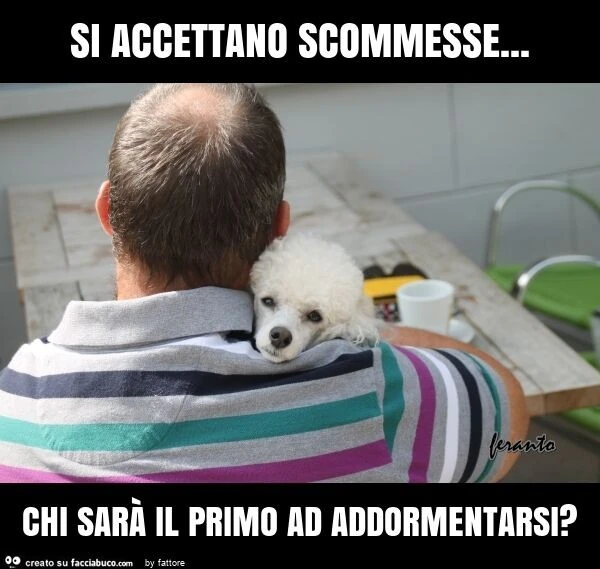 Si accettano scommesse&hellip; chi sarà il primo ad addormentarsi?