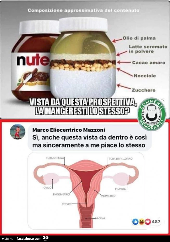 Vaccata