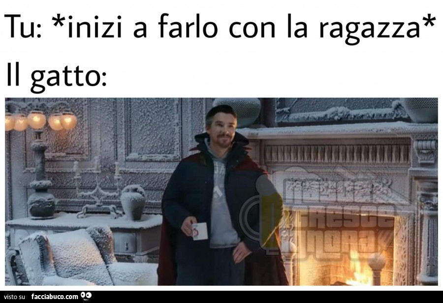 Vaccata