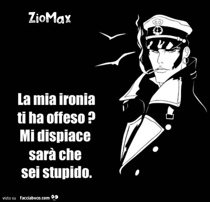 La mia ironia ti ha offeso? Mi dispiace sarà che sei stupido