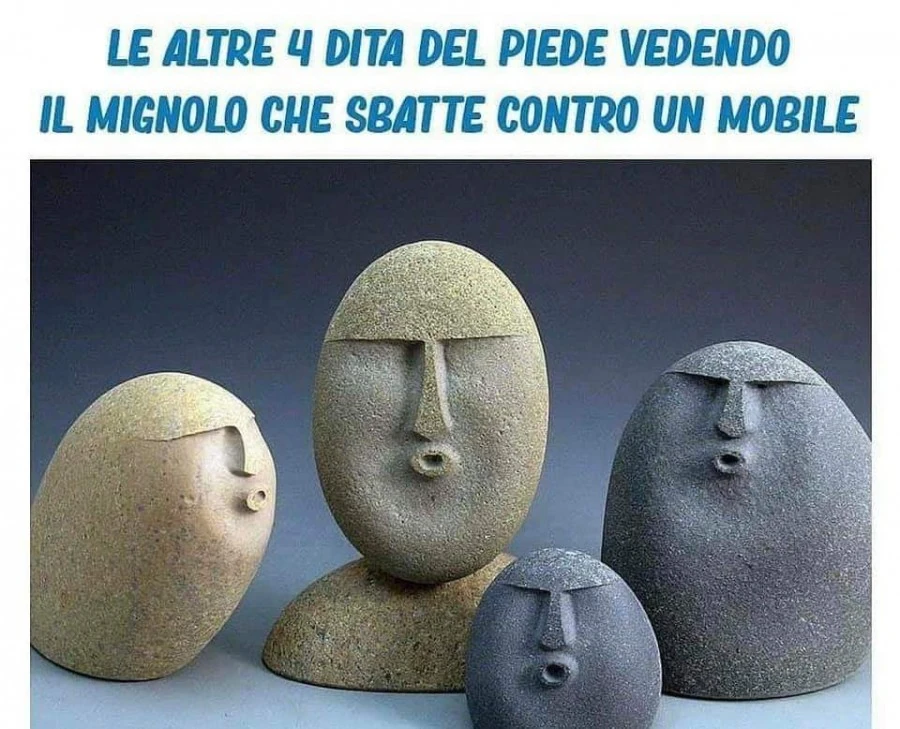 Le altre 4 dita del piede
