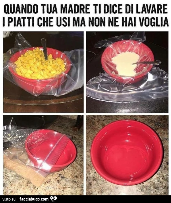 Vaccata