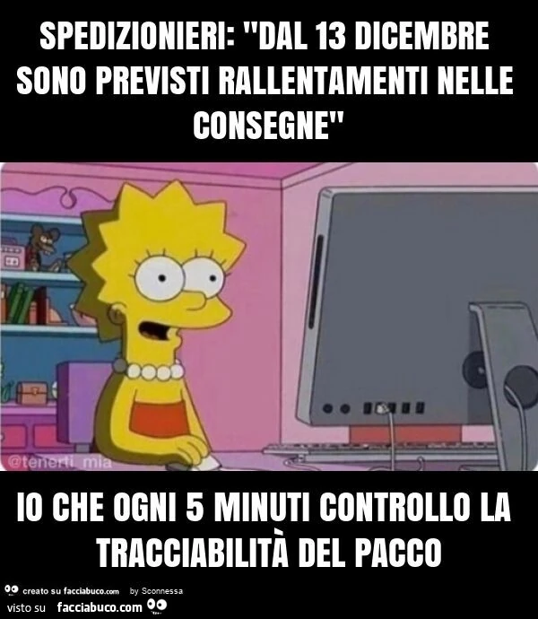 Spedizionieri: "dal 13 dicembre sono previsti rallentamenti nelle consegne" io che ogni 5 minuti controllo la tracciabilità del pacco