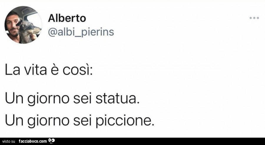 La vita è così: un giorno sei statua. Un giorno sei piccione