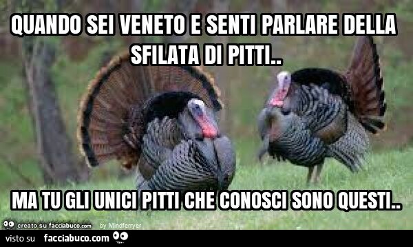 Quando sei veneto e senti parlare della sfilata di pitti. Ma tu gli unici pitti che conosci sono questi
