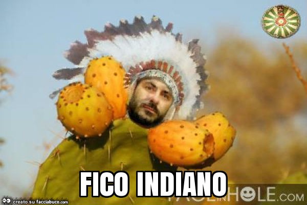 Fico indiano