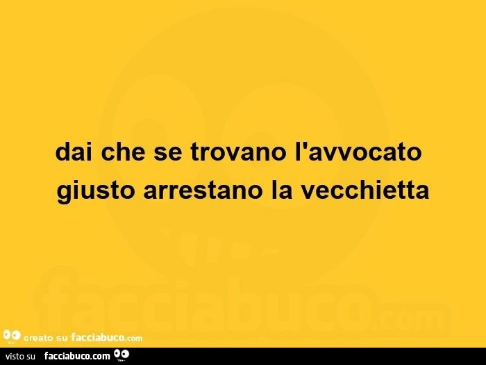 Dai che se trovano l'avvocato giusto arrestano la vecchietta