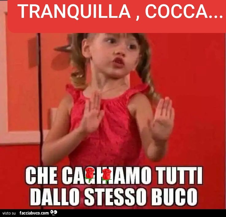 Tranquilla cocca che caghiamo tutti dallo stesso buco