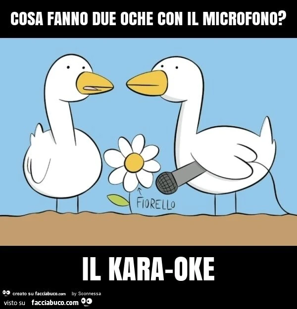 Cosa fanno due oche con il microfono? Il kara-oke