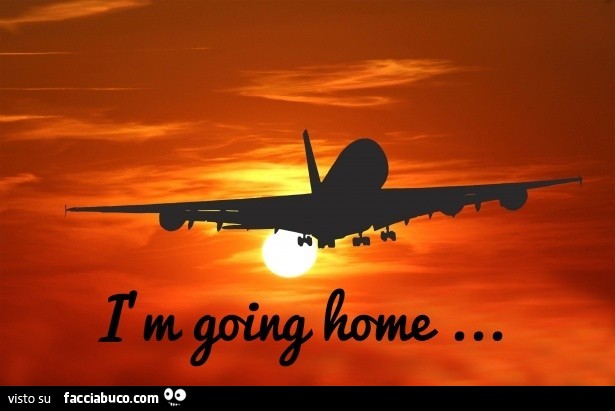 I am going home