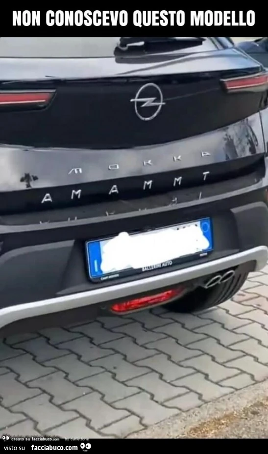 Non conoscevo questo modello