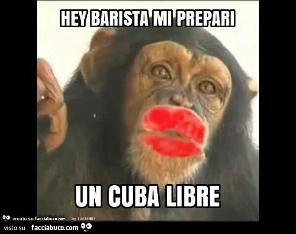 Hey barista mi prepari un cuba libre