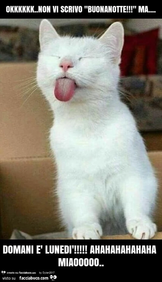 Okkkkkk. Non vi scrivo "buonanotte! " Ma&hellip; domani è lunedì! Ahahahahahaha miaooooo