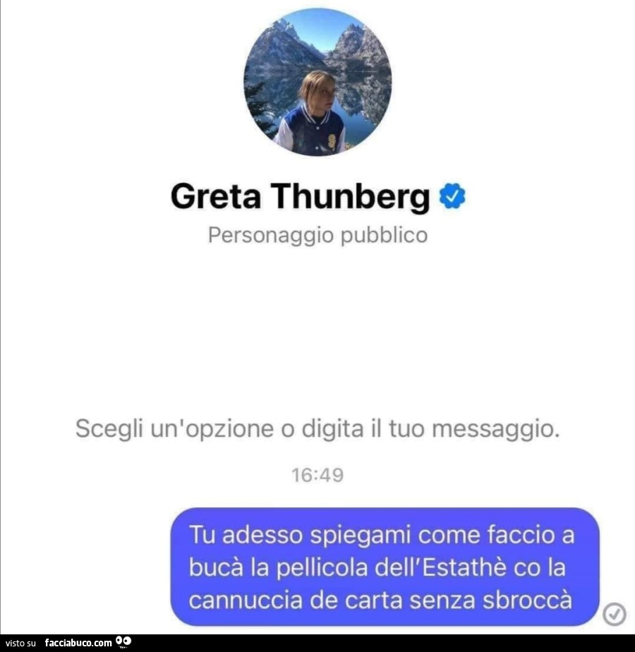 Messaggio a Greta Thunberg: tu adesso spiegami come faccio a bucà la pellicola dell'estathè co la cannuccia de carta senza sbroccà