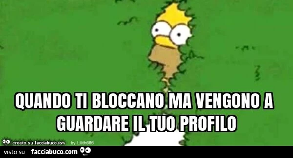 Quando ti bloccano ma vengono a guardare il tuo profilo