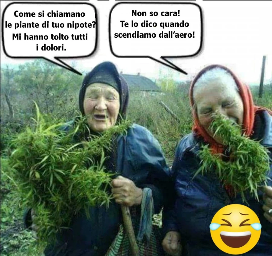 Le piante del nipote