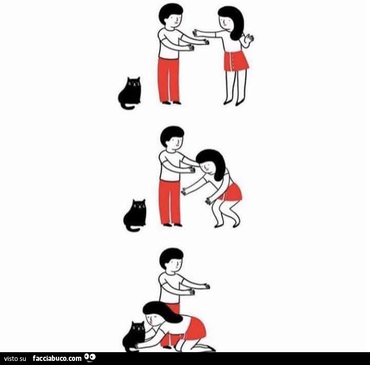 Abbraccio al gatto