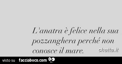 L'anatra è felice nella sua pozzanghera perché non conosce il mare