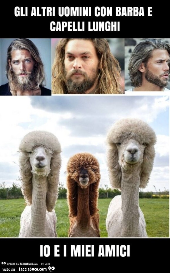 Gli altri uomini con barba e capelli lunghi io e i miei amici