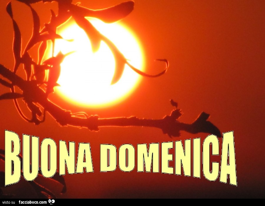 Buona domenica