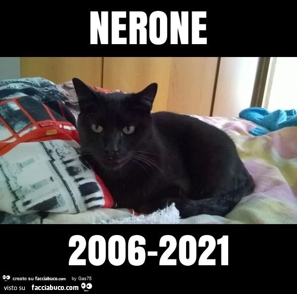 Nerone 2006-2021