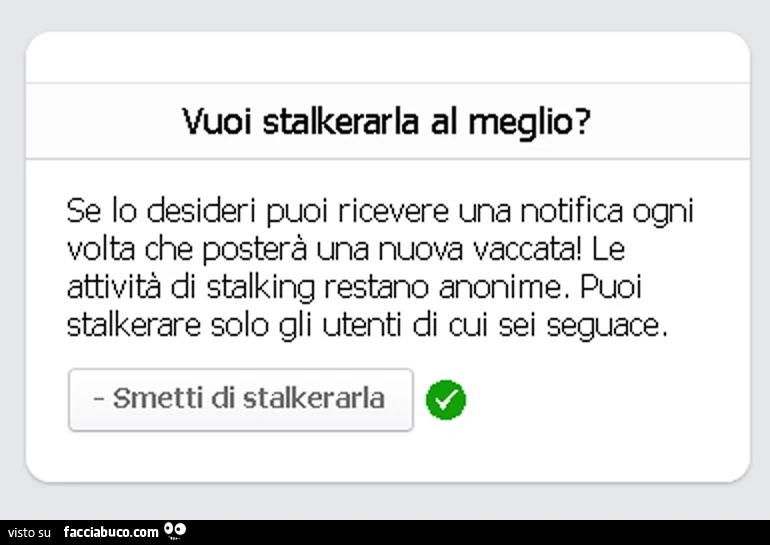 Vuoi stalkerarla al meglio? Se lo desideri puoi ricevere una notifica ogni volta che posterà una nuova vaccata