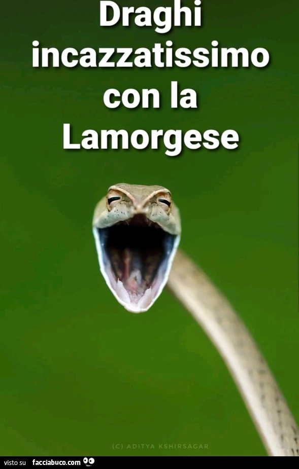 Draghi incazzatissimo con la lamorgese