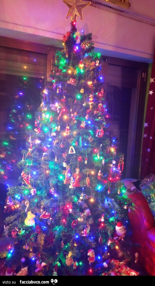 Buongiorno con l'albero di Natale