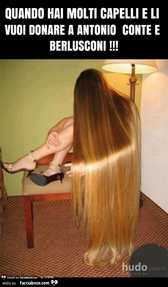 Quando hai molti capelli e li vuoi donare a antonio conte e berlusconi