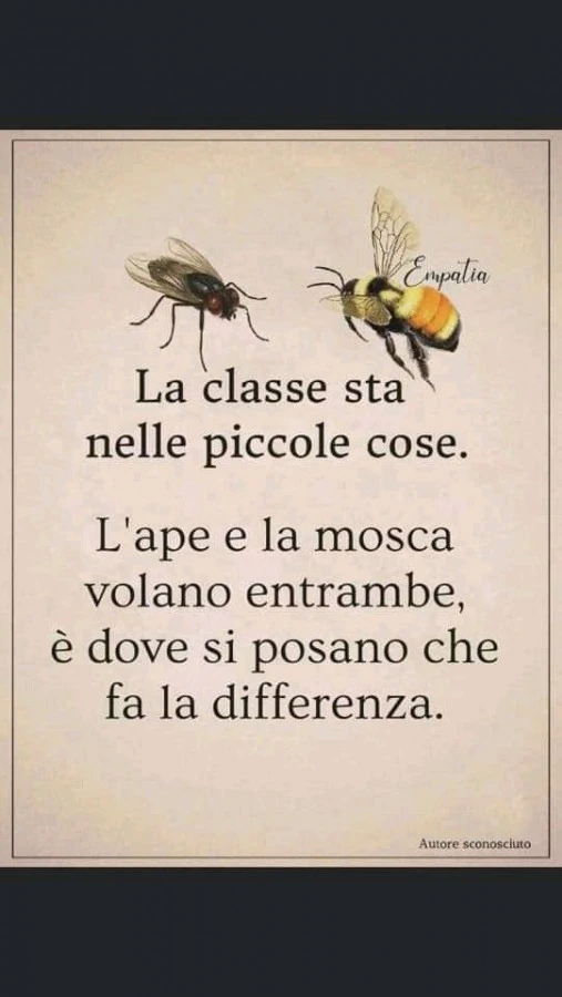 Differenza