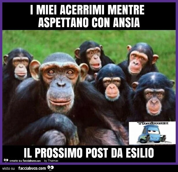 I miei acerrimi mentre aspettano con ansia il prossimo post da esilio