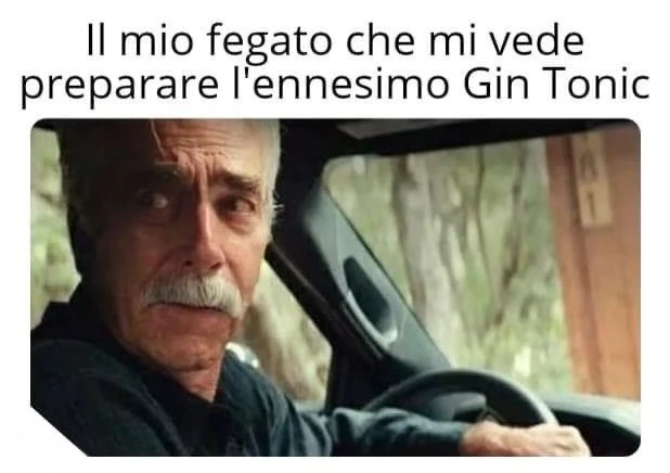 Il mio fegato che mi vede preparare l'ennesimo gin tonic