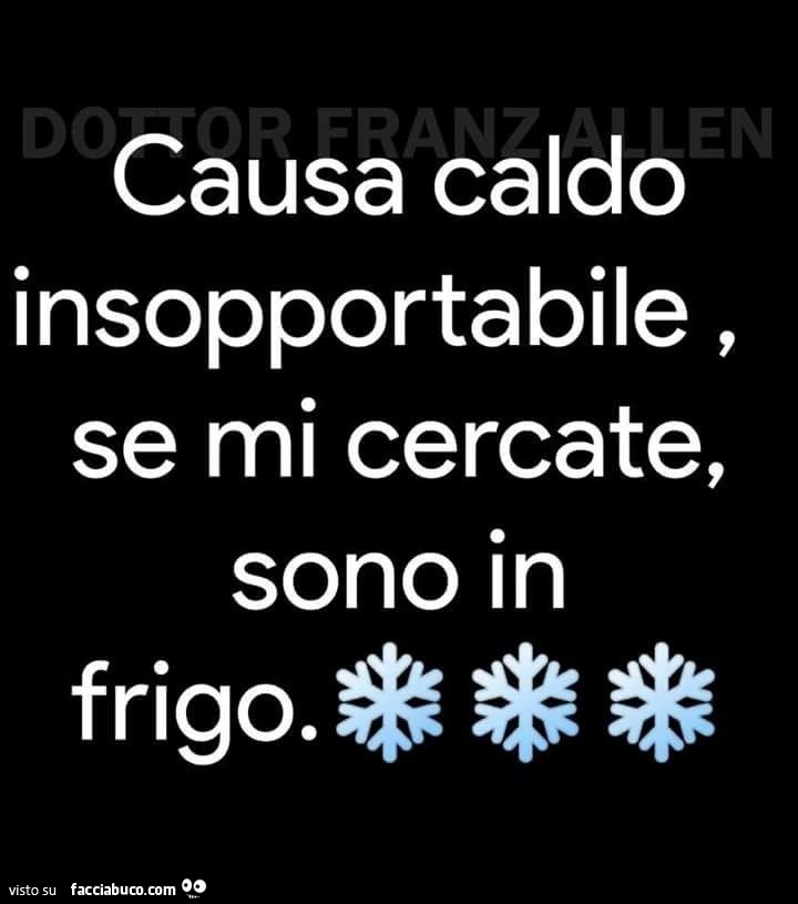 https://cdn-img-r.facciabuco.com/151/1rxk5candg-causa-caldo-insopportabile-se-mi-cercate-sono-in-frigo_a.jpg