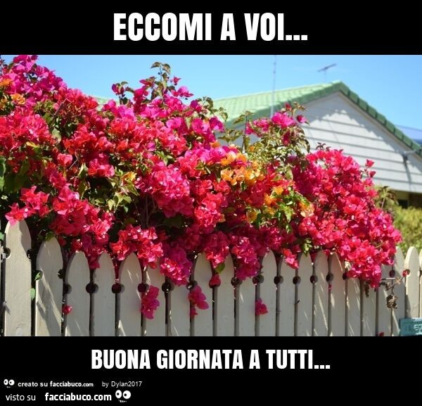 Eccomi a voi… buona giornata a tutti