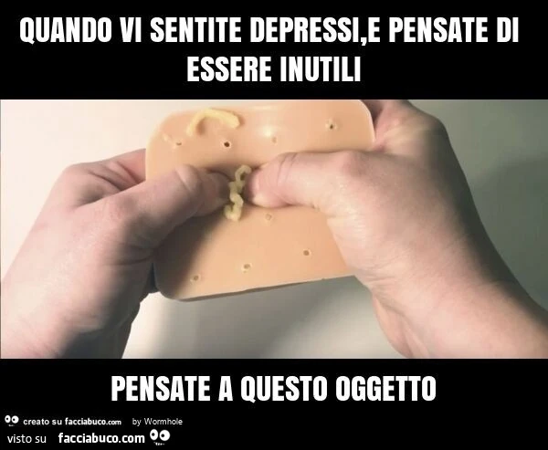 Quando vi sentite depressi, e pensate di essere inutili pensate a questo oggetto