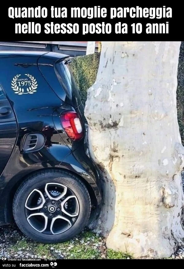 Quando tua moglie parcheggia nello stesso posto da 10 anni