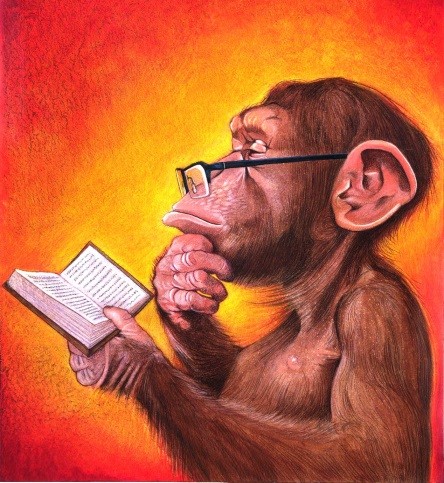 Scimmia che legge