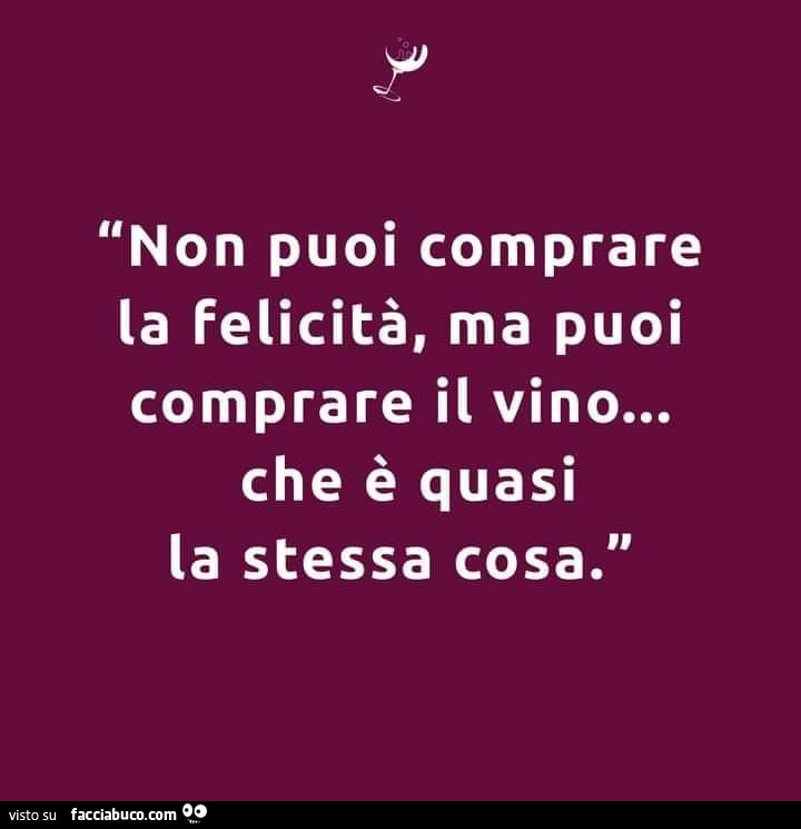 Non puoi comprare la felicità, ma puoi comprare il vino… che è quasi la stessa cosa